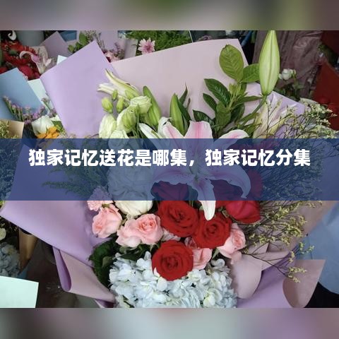 独家记忆送花是哪集，独家记忆分集 