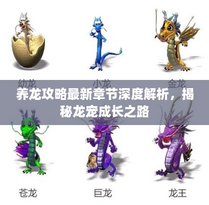 养龙攻略最新章节深度解析，揭秘龙宠成长之路