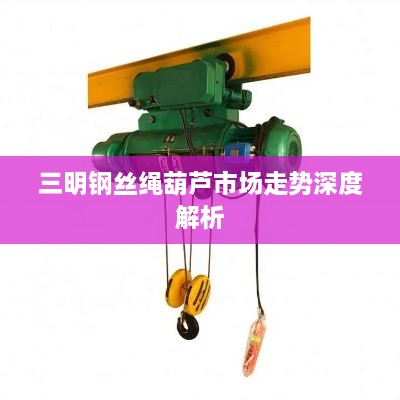 三明钢丝绳葫芦市场走势深度解析