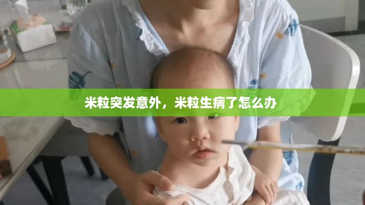 米粒突发意外，米粒生病了怎么办 