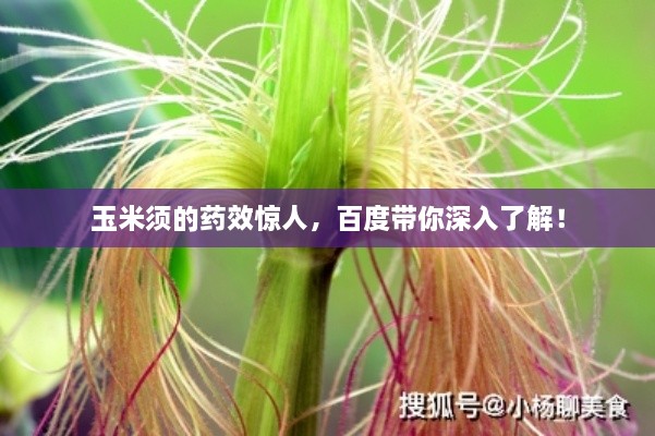 玉米须的药效惊人，百度带你深入了解！