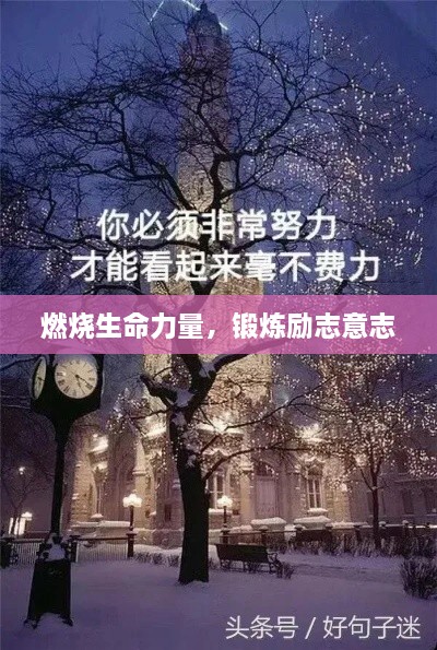 燃烧生命力量，锻炼励志意志