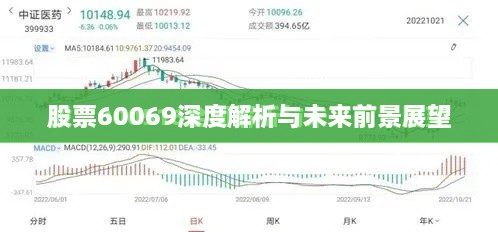 股票60069深度解析与未来前景展望
