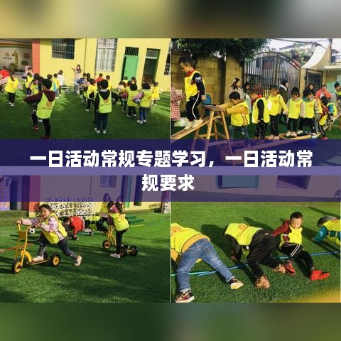 一日活动常规专题学习，一日活动常规要求 