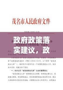政府政策落实建议，政策措施建议 