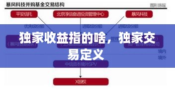 独家收益指的啥，独家交易定义 