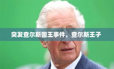 突发查尔斯国王事件，查尔斯王孑 