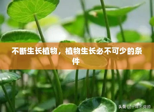 优惠券 第9页