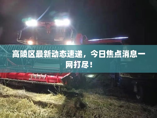 高陵区最新动态速递，今日焦点消息一网打尽！