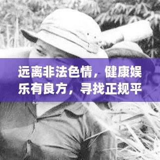 远离非法色情，健康娱乐有良方，寻找正规平台与文化活动，让生活更精彩！