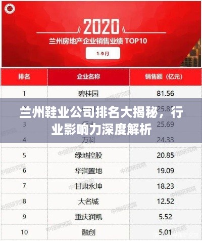 兰州鞋业公司排名大揭秘，行业影响力深度解析