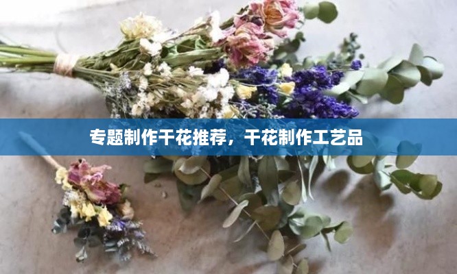 专题制作干花推荐，干花制作工艺品 