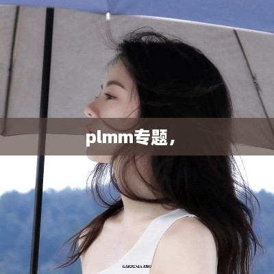 plmm专题， 