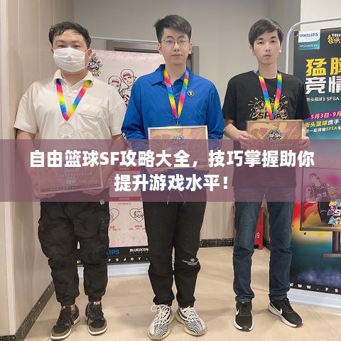自由篮球SF攻略大全，技巧掌握助你提升游戏水平！