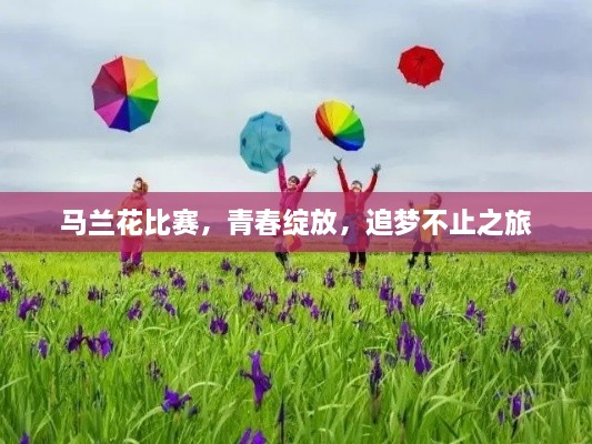 马兰花比赛，青春绽放，追梦不止之旅