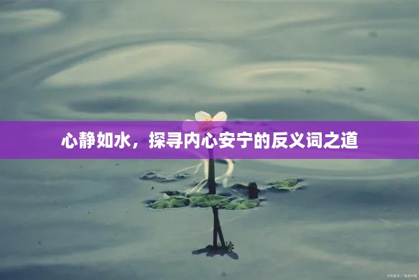 心静如水，探寻内心安宁的反义词之道