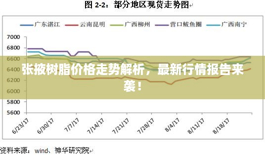 张掖树脂价格走势解析，最新行情报告来袭！