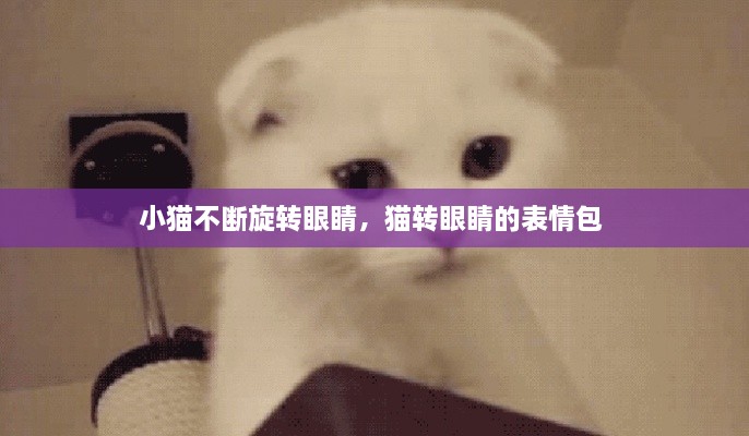 小猫不断旋转眼睛，猫转眼睛的表情包 