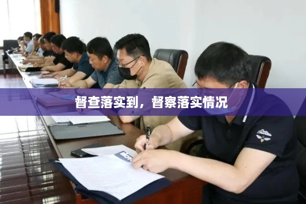督查落实到，督察落实情况 