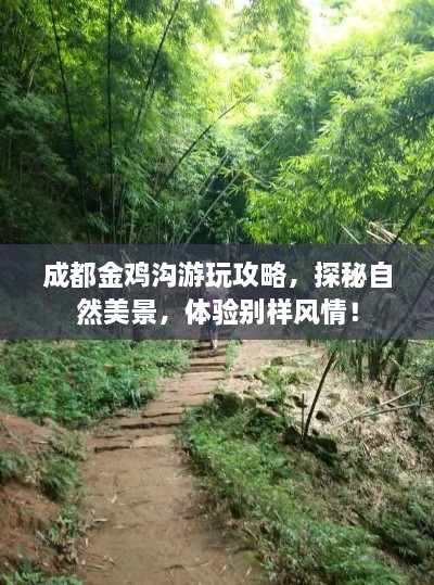 成都金鸡沟游玩攻略，探秘自然美景，体验别样风情！
