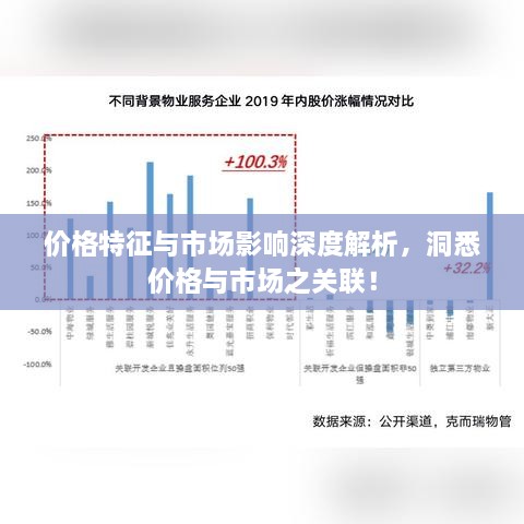 价格特征与市场影响深度解析，洞悉价格与市场之关联！