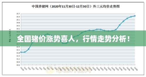 全国猪价涨势喜人，行情走势分析！