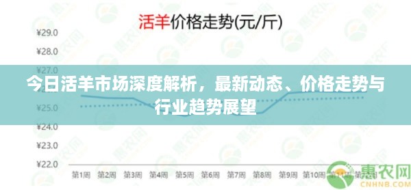 百灵鸟 第7页