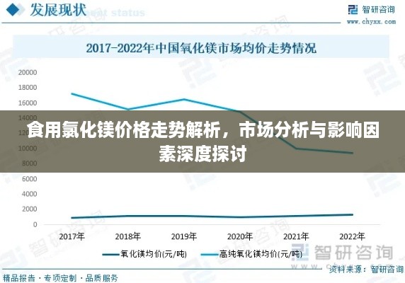 食用氯化镁价格走势解析，市场分析与影响因素深度探讨