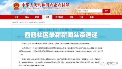 西寇社区最新新闻头条速递