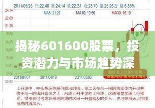 揭秘601600股票，投资潜力与市场趋势深度解析