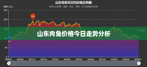 山东肉兔价格今日走势分析