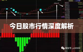 今日股市行情深度解析