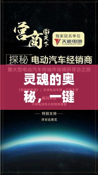 灵魂的奥秘，一键开启你的探索之旅
