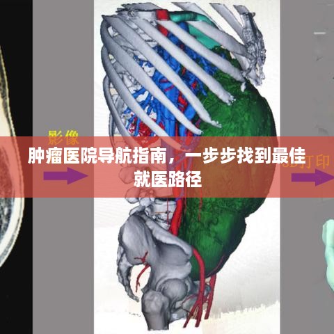 肿瘤医院导航指南，一步步找到最佳就医路径
