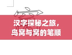 汉字探秘之旅，鸟窝与窝的笔顺详解