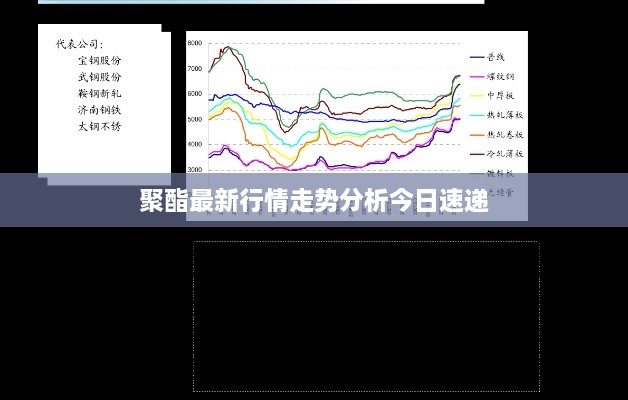 聚酯最新行情走势分析今日速递