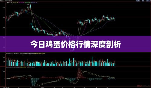 2025年4月 第6页