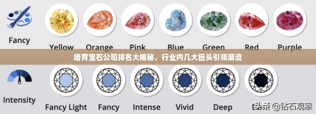 培育宝石公司排名大揭秘，行业内几大巨头引领潮流