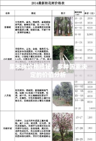 果木树价格揭秘，多种因素决定的价值分析