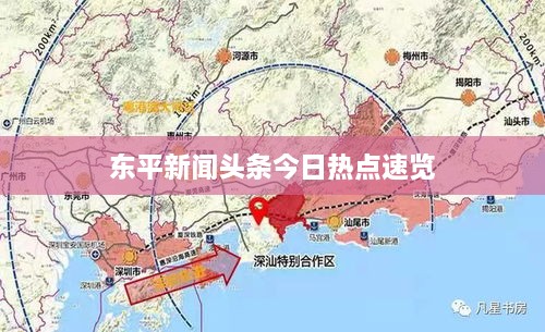 东平新闻头条今日热点速览