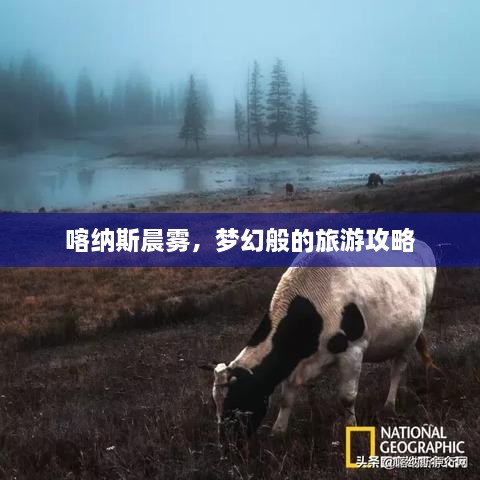 喀纳斯晨雾，梦幻般的旅游攻略