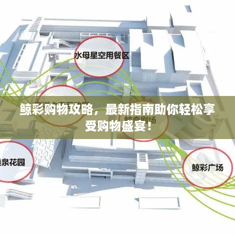鲸彩购物攻略，最新指南助你轻松享受购物盛宴！